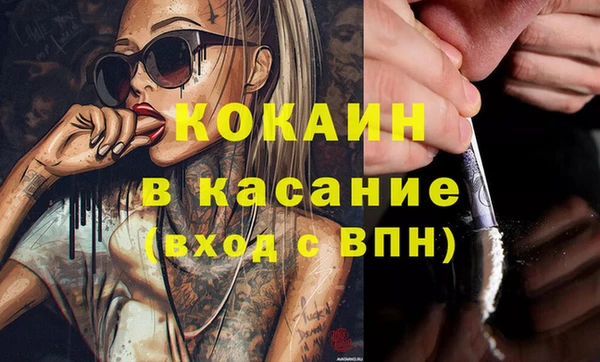 твердый Аркадак