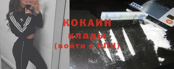 стафф Арсеньев