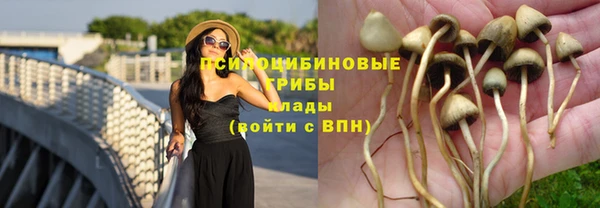 твердый Аркадак