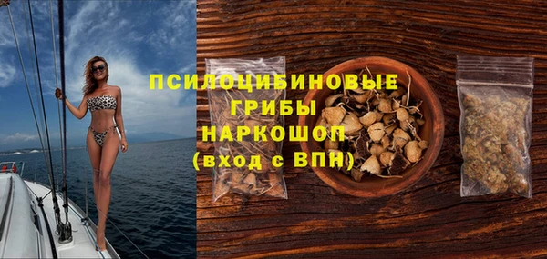 хмурый Армянск