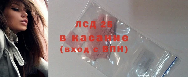 стафф Арсеньев