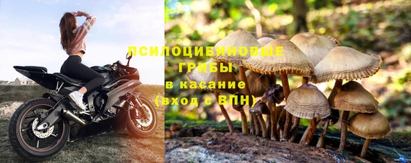 хмурый Армянск